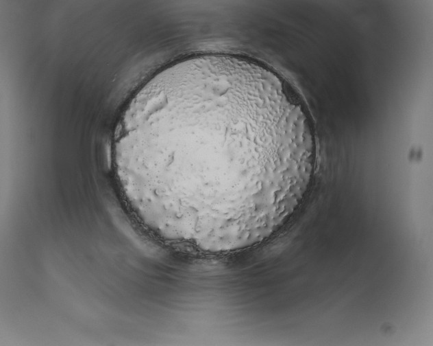 X0000110700061200907022007