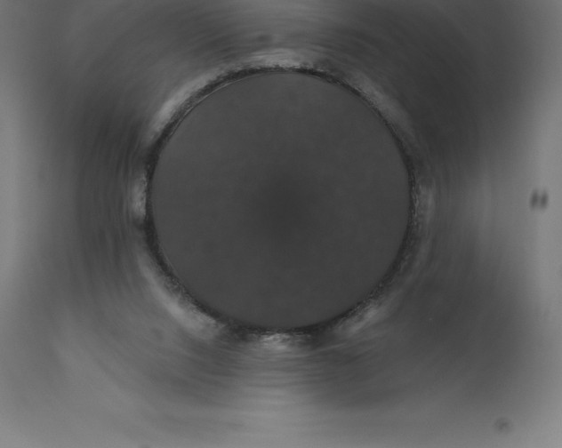 X0000110700064200907022008