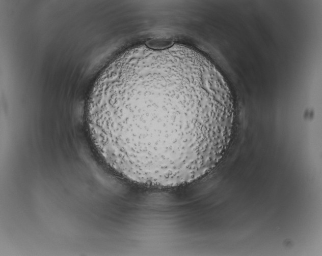 X0000110700066200907022008