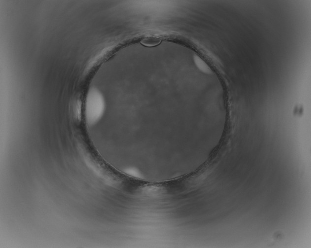X0000110700067200907022008