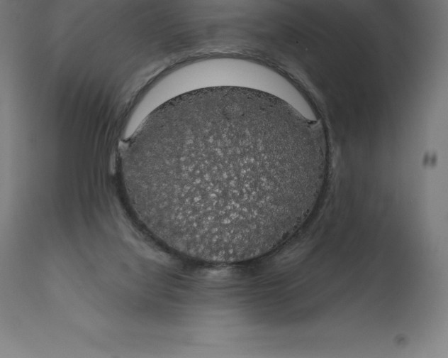 X0000110700068200907022008