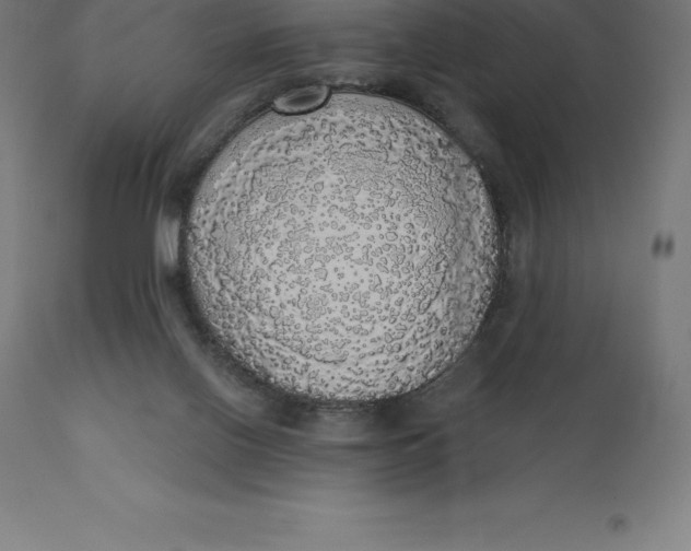 X0000110700070200907022008