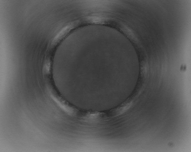X0000110700072200907022008