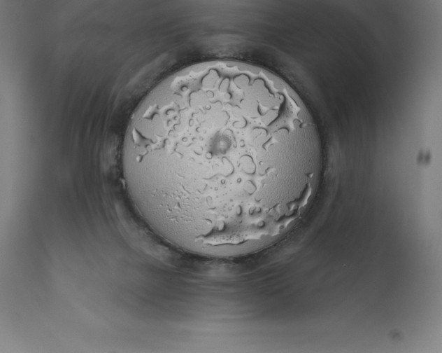 X0000110700073200907022008
