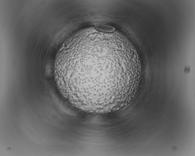 X0000110700074200907022008