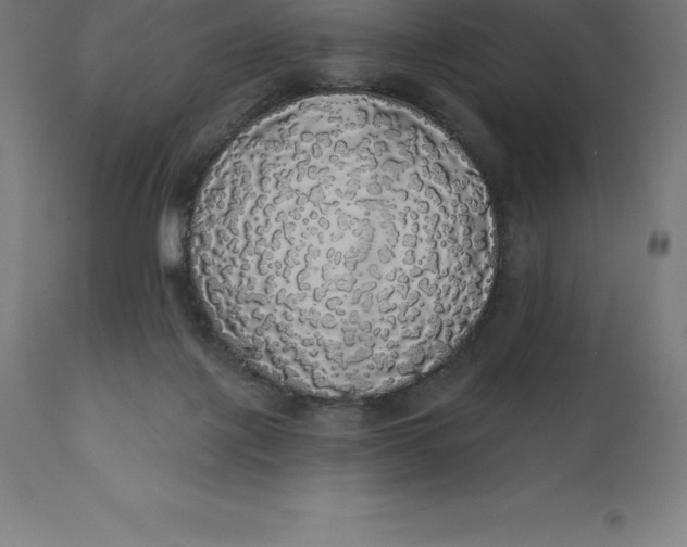 X0000110700075200907022008