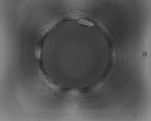 X0000110700076200907022008