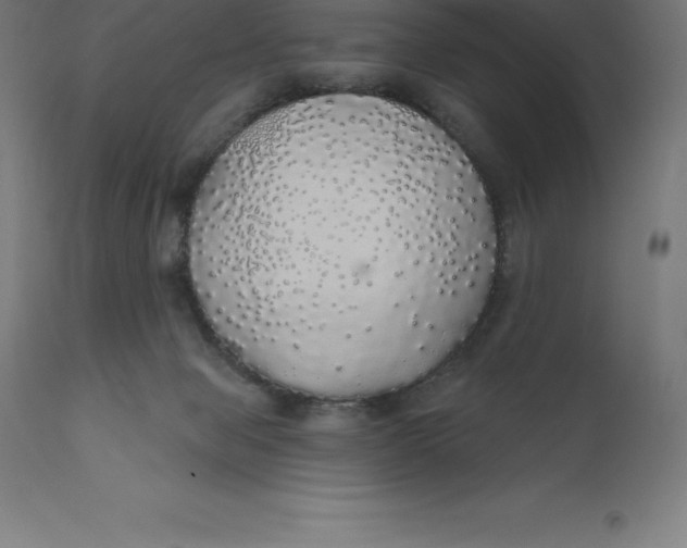X0000110700077200907022008