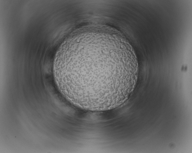 X0000110700078200907022008