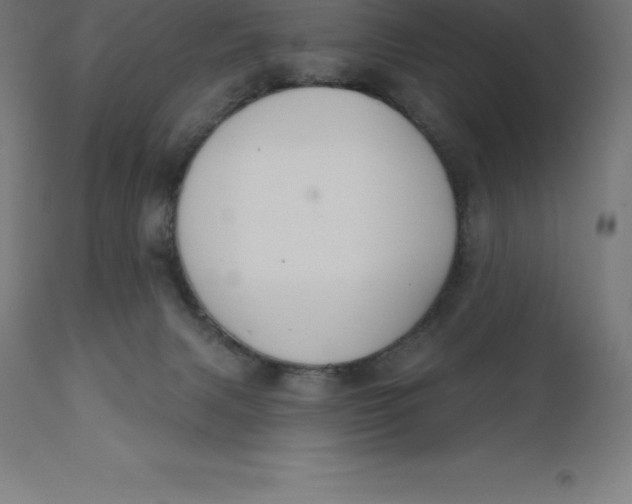 X0000110700079200907022008