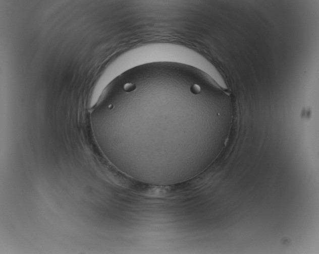 X0000110700080200907022008