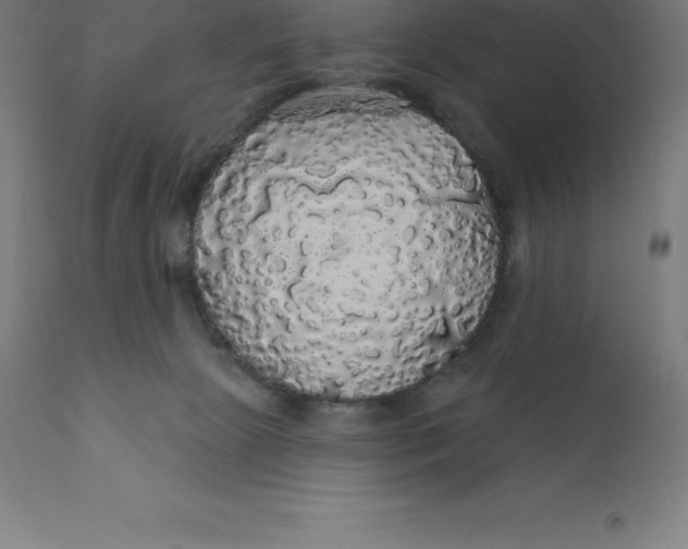 X0000110700081200907022008