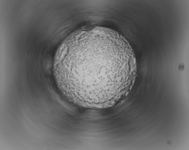 X0000110700082200907022008