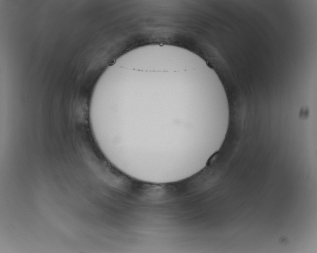 X0000110700083200907022008
