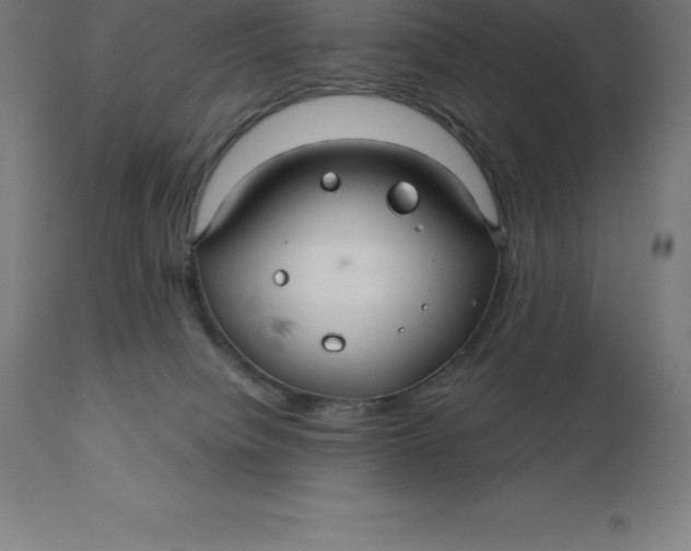 X0000110700084200907022008