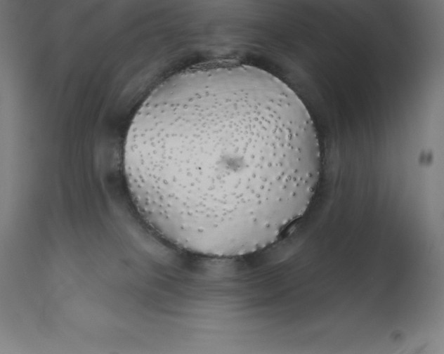 X0000110700085200907022008