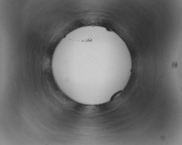 X0000110700087200907022008