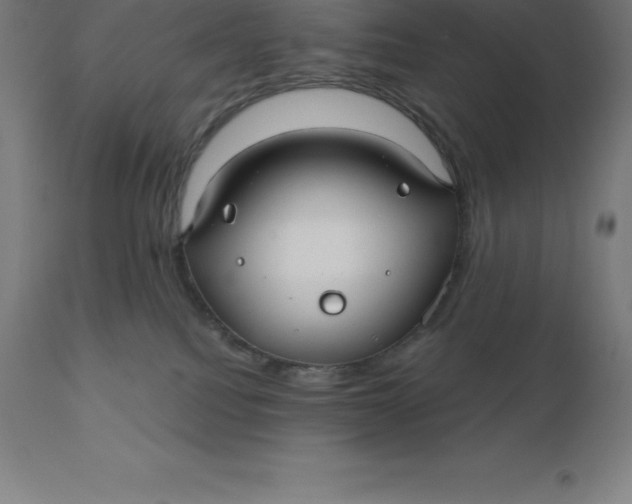X0000110700088200907022008