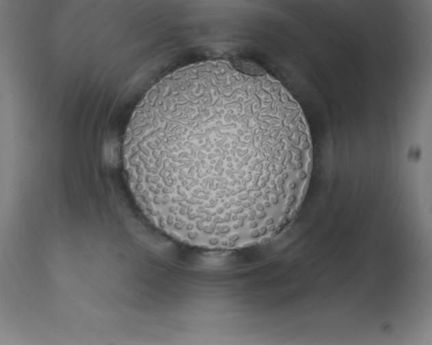 X0000110700090200907022008
