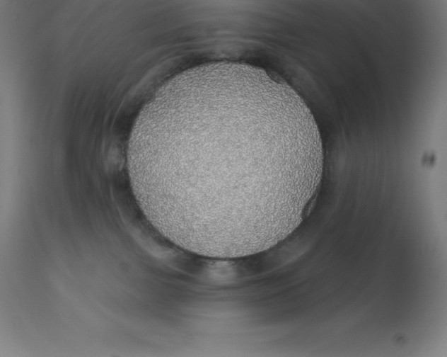 X0000110700091200907022008