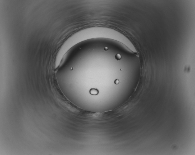 X0000110700092200907022008
