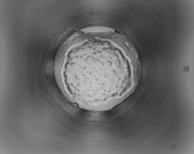 X0000110700093200907022008