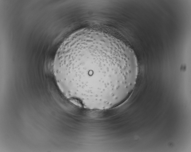 X0000110700094200907022008