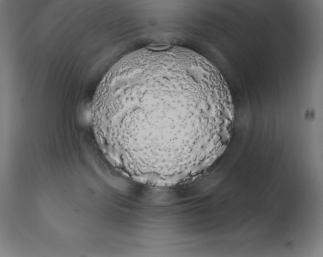 X0000110700095200907022008