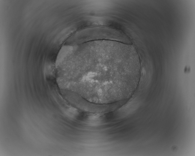 X0000110700096200907022008