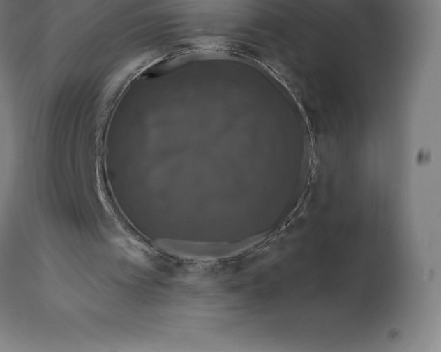 X0000110700097200907022007