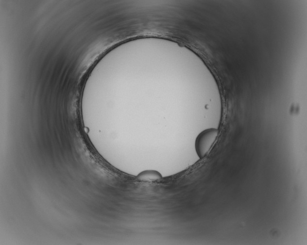 X0000110700098200907022007