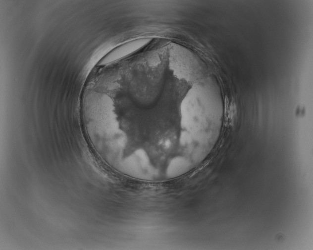 X0000110700099200907022007