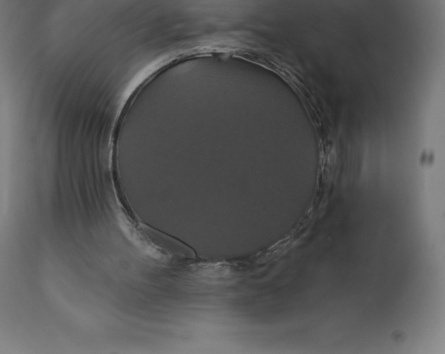 X0000110700100200907022007