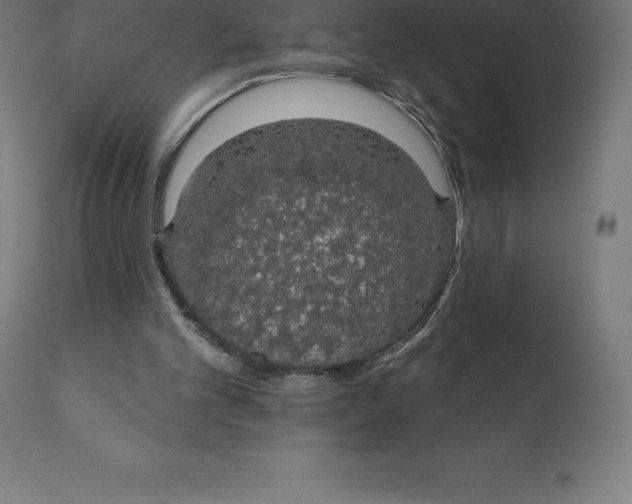 X0000110700101200907022007