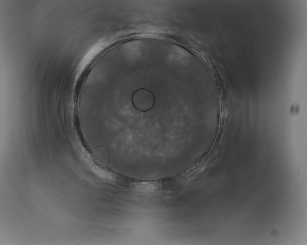 X0000110700102200907022007