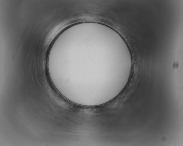 X0000110700103200907022007