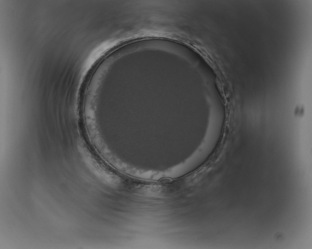 X0000110700104200907022007