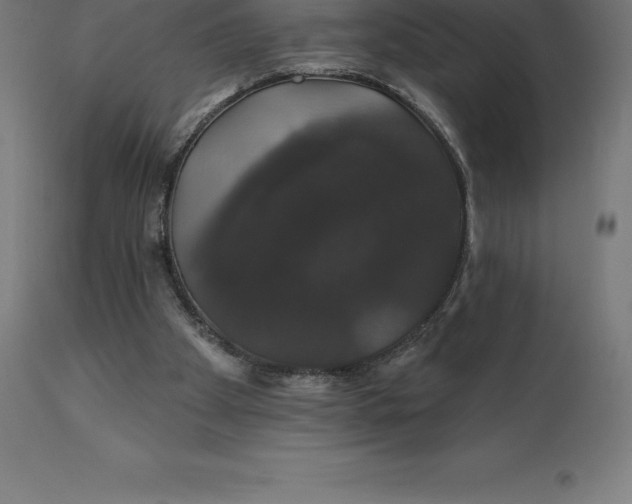 X0000110700105200907022007