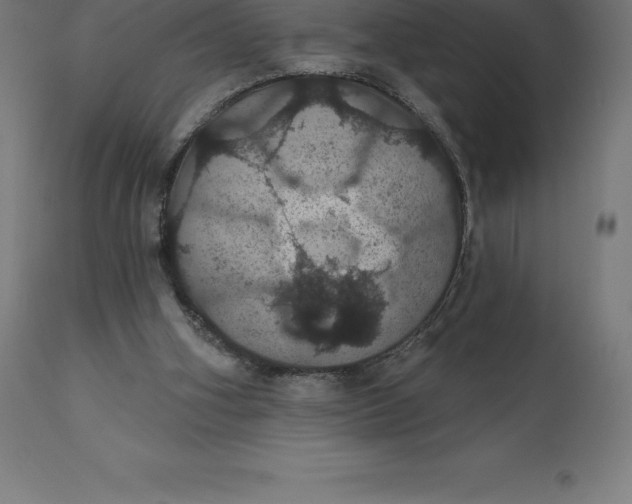 X0000110700106200907022007