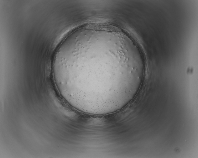 X0000110700107200907022007