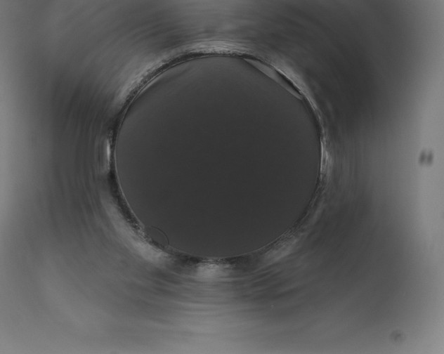 X0000110700109200907022007
