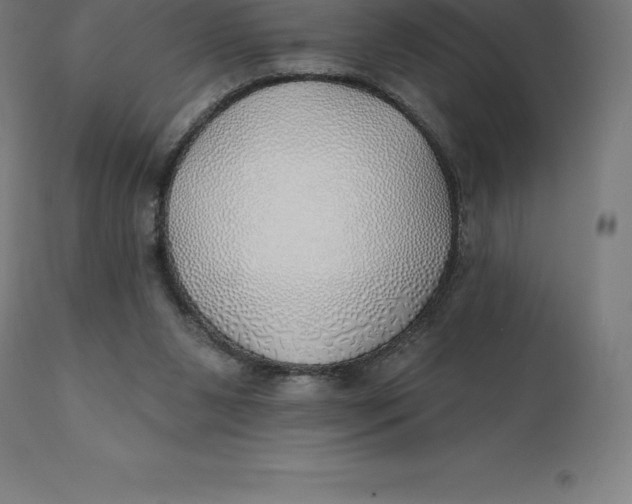 X0000110700111200907022007