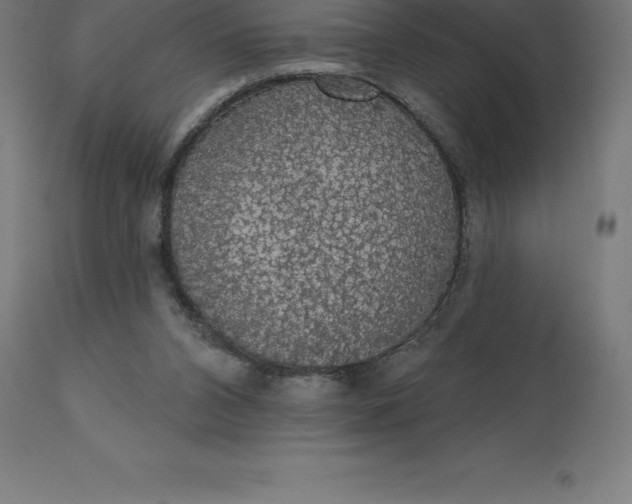 X0000110700112200907022007