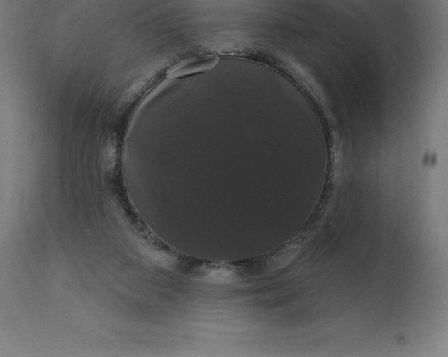 X0000110700113200907022007