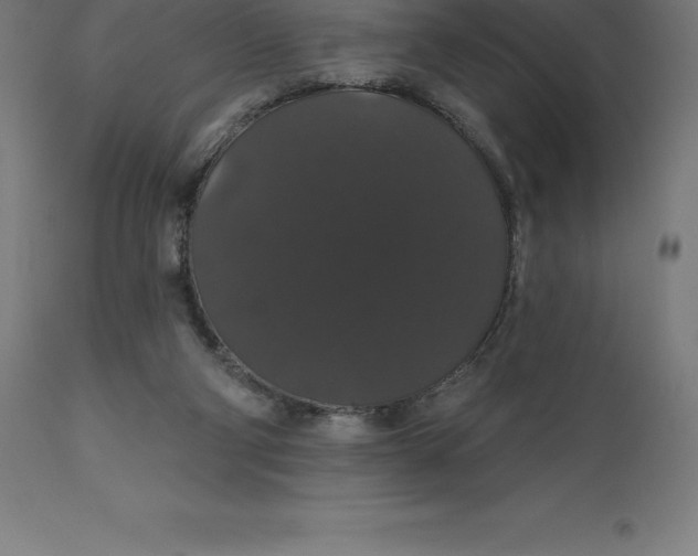 X0000110700114200907022007