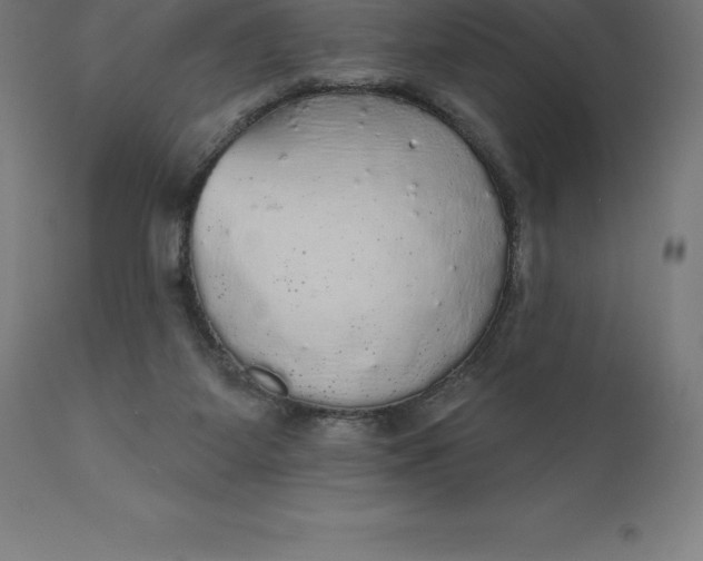 X0000110700115200907022007