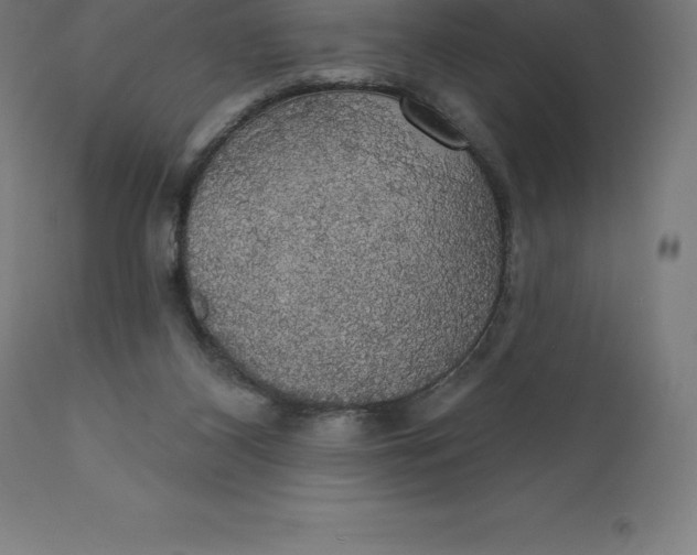 X0000110700116200907022007