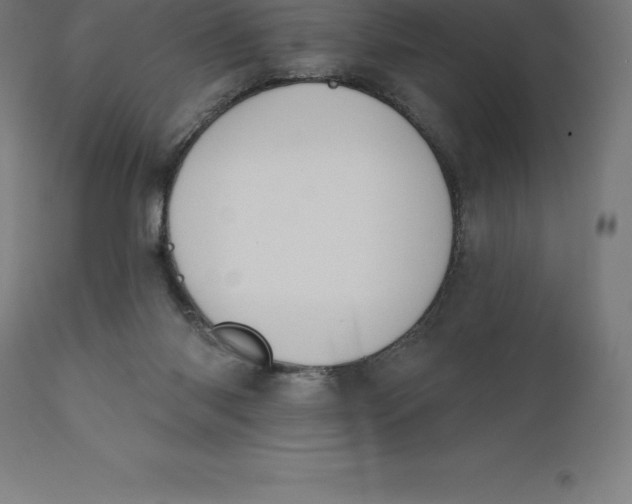 X0000110700118200907022007