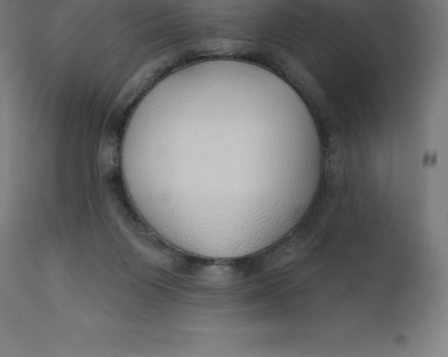 X0000110700119200907022007