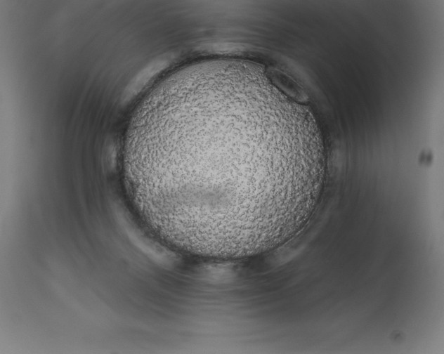 X0000110700120200907022007